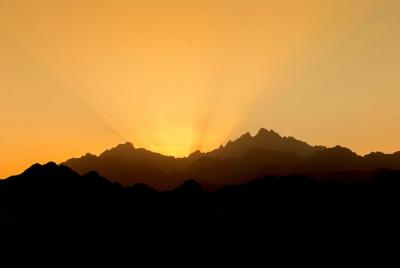 3 Hours Safari Morning By ATV Quad and Camel Ride - Marsa Alam