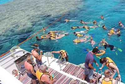 Snorkeling trip in Sharm El Sheikh  Snorkeling trip in Sharm El Sheikh