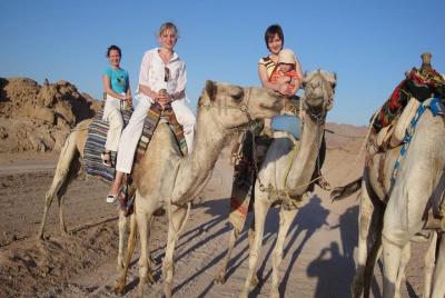 5 in 1 desert adventure in Sharm el Sheikh