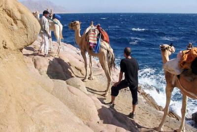 Blue Hole National Park by Bus& Canyon Salma Camel ride & Lunch-S