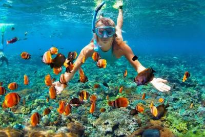 Ras Muhammad National Park: Snorkeling Tour with White Island Ras Muhammad National Park: Snorkeling Tour with White Island