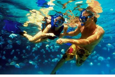 Ras Mohammed Snorkeling, Sharm El Sheikh Area