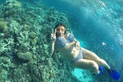 Full Day to Ras Muhammed & White Island Snorkeling sea Trip From 
