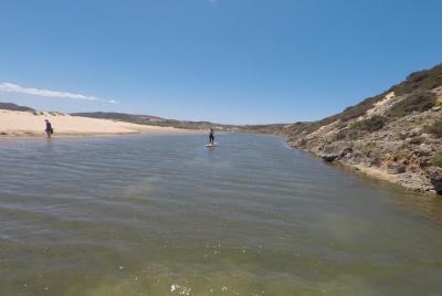 Amoreira River Stand Up Paddle Tour Amoreira River Stand Up Paddle Tour