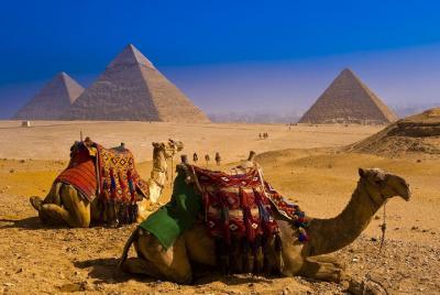 Cairo Full Day Trip (Pyramids, Sphinx & Egyptian Museum) over day