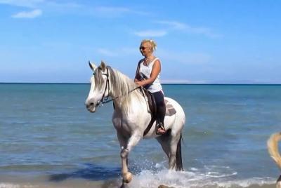 Two hours Camel Or Horse Riding At Amazing Desert and Sea - Hurgh