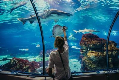 Grand Aquarium With Private transportation – Hurghada 