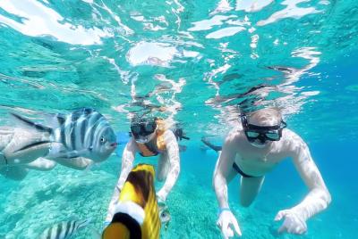 El Gouna VIP Sea Trip Snorkeling With Dolphin House and Water Spo