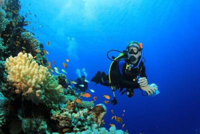 Hurghada: Full-Day Scuba Diving Adventure Tour with Lunch Hurghada: Full-Day Scuba Diving Adventure Tour with Lunch