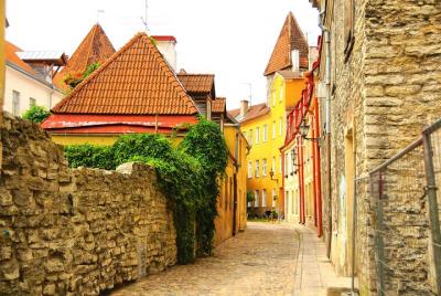 Tallinn Walking Tour with Free Time and Port Transfers