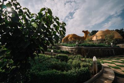 Layover Tour in Addis Ababa