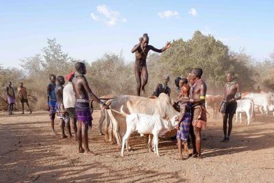 South Omo Valley in 4 Days, Ethiopia South Omo Valley in 4 Days, Ethiopia