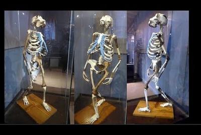 Impress Addis City Tours 