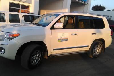 Bole International Airport to Addis Ababa City Transfer