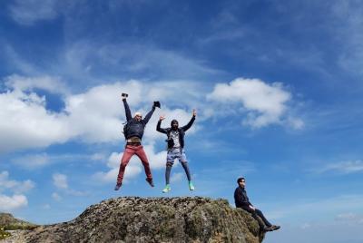 Half-Day Hiking in the forests of Addis Ababa 