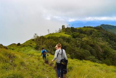 5 Nights & 6 Days Kerala Tour Covering Munnar, Aleppey Houseboat, Kovalam Beach 5 Nights & 6 Days Kerala Tour Covering Munnar, Aleppey Houseboat, Kovalam Beach