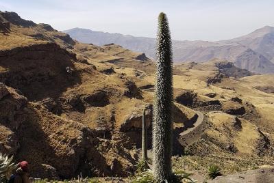 We are ready to show you Ethiopia! To get unforgivable memory.... We are ready to show you Ethiopia! To get unforgivable memory....