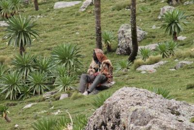 Hikng from lalibela four 1/2 day __4 days 