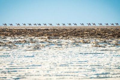 2 Days Dallol trip 2 Days Dallol trip