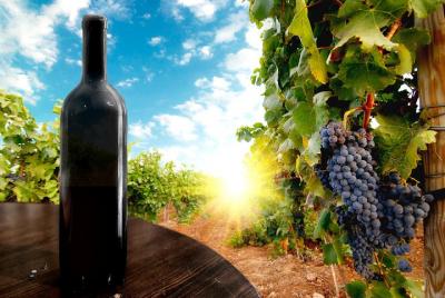 Wine Tour from Kutaisi Wine Tour from Kutaisi