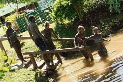 Mud Pools - Nadi Therapeutic Mud Pools, Gardens, Temple, Market &