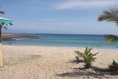 Discover Coral Coast & Natadola Beach Tour Discover Coral Coast & Natadola Beach Tour