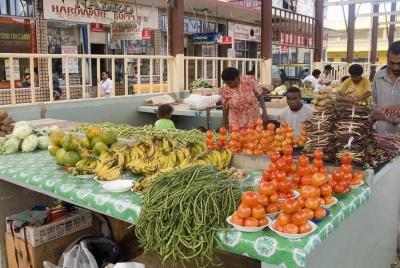 Coral Coast Sightseeing & Pottery Village Tour