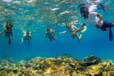 Feejee Five - 11 Days Island Hopping Feejee Five - 11 Days Island Hopping