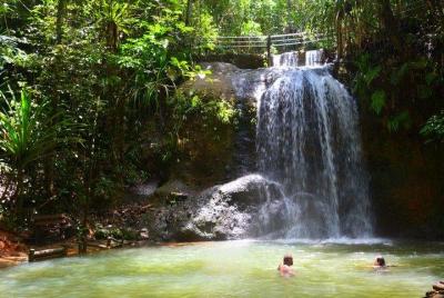 Waterfalls and Nature Tour