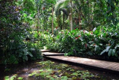 Private Half-Day Lautoka Shore Excursion in Viseisei Village