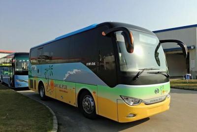 Shared Transfer (SIV) from Nadi Hotels/Denarau Hotels to Nadi Airport