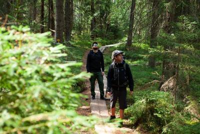 Full-day tour in a Finnish National Park Full-day tour in a Finnish National Park