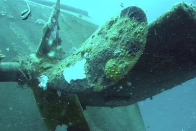 Full-Day Tivua Island Day Cruise with Wreck Dive for Experienced Divers