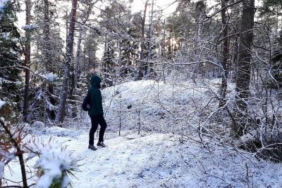 Winter archipelago excursion