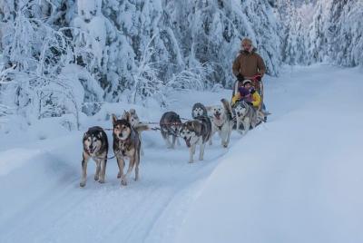 Self-Driving 3-Hour Husky Sledding Experience in Levi Self-Driving 3-Hour Husky Sledding Experience in Levi