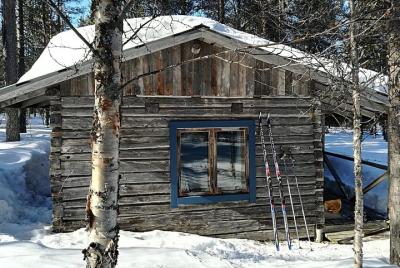 Unique wilderness cabin excursion Unique wilderness cabin excursion