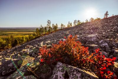 Guided easy hike in Finland deepest gorge in Pyhä-Luosto National Park Guided easy hike in Finland deepest gorge in Pyhä-Luosto National Park