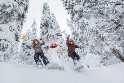 Lapland Winter Experience Lapland Winter Experience