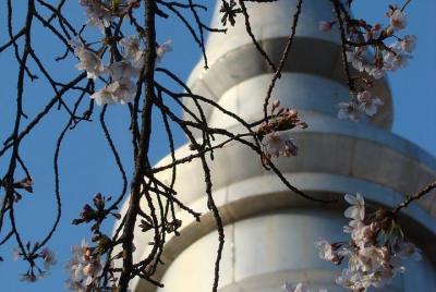 Peace & Culture - Great City Views - Morning Hike from Hiroshima  Peace & Culture - Great City Views - Morning Hike from Hiroshima