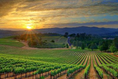 Lebanon Wine Tasting Tour Lebanon Wine Tasting Tour