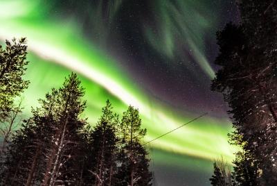 Private Aurora Tour (5 or more) by Aurora Experts- Ivalo-Saariselka