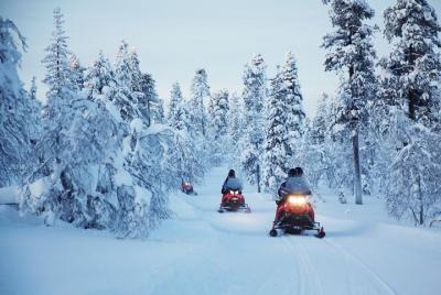 2 hour snowmobile tour 