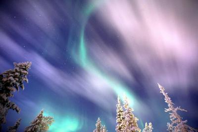 Aurora hunt by Minivan