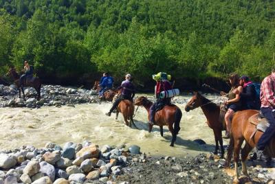 Horse rent in Mestia, Becho, Mazeri Horse rent in Mestia, Becho, Mazeri
