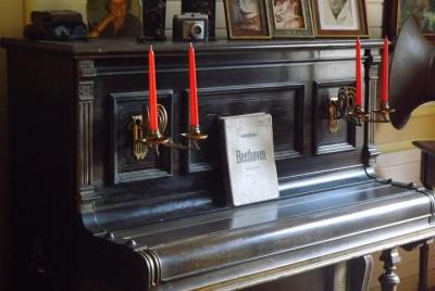 Bonn Walking Tour (In the footsteps of Ludwig Van Beethoven)