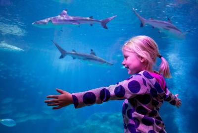 SEA LIFE Oberhausen Admission Ticket SEA LIFE Oberhausen Admission Ticket
