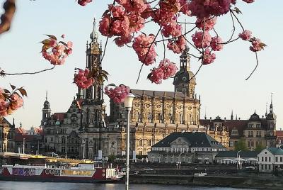 Private walking tour through historic Dresden Private walking tour through historic Dresden
