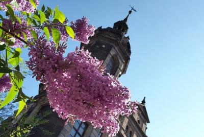 Dresden Private Guided Walking Tour For Families Dresden Private Guided Walking Tour For Families