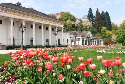 Black Forest and Baden-Baden Day Trip from Frankfurt