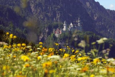 Private Day Tour from Fussen: Neuschwanstein Castle, Oberammergau Private Day Tour from Fussen: Neuschwanstein Castle, Oberammergau